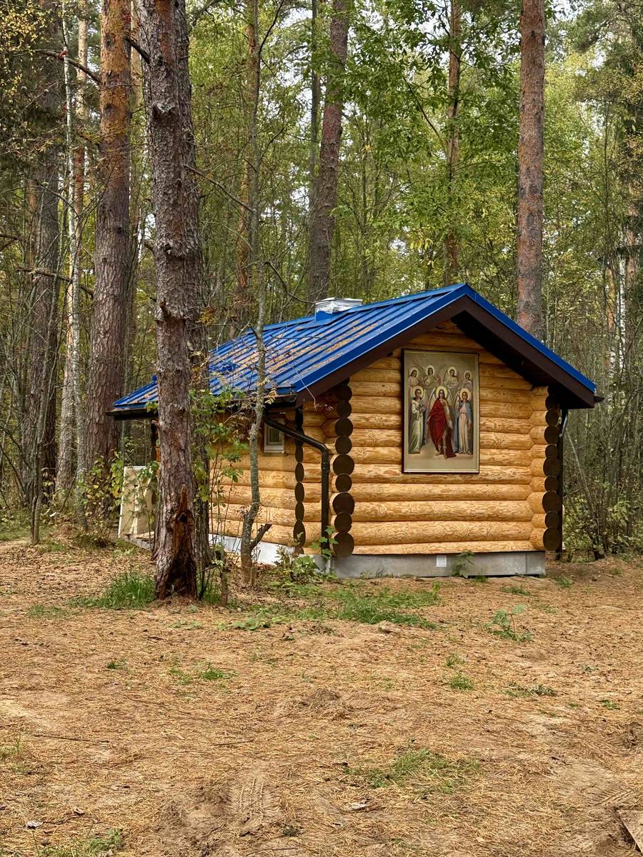 Церковь Покрова Пресвятой Богородицы, Княжская (Ковровский район и г. Ковров, Владимирская область). дополнительная информация