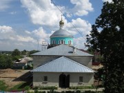 Церковь Троицы Живоначальной, , Кашира, Каширский городской округ, Московская область