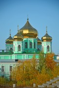 Пермь. Троицы Живоначальной на Слудской горе, кафедральный собор