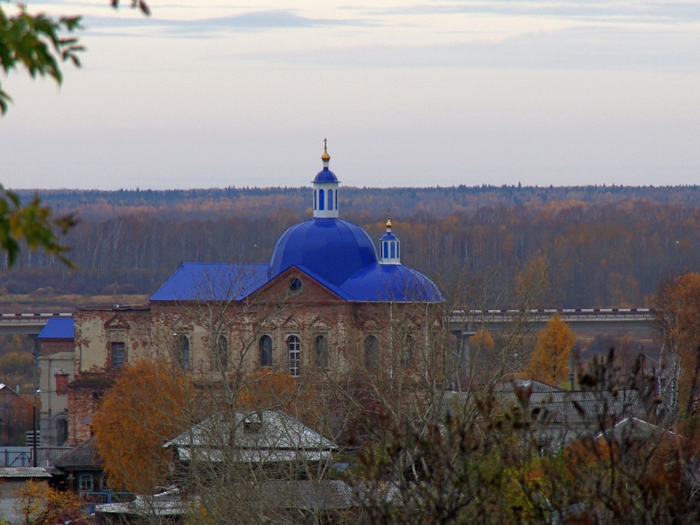 Туринск. Церковь Сретения Господня. общий вид в ландшафте