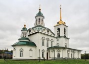 Туринск. Спаса Всемилостивого, церковь