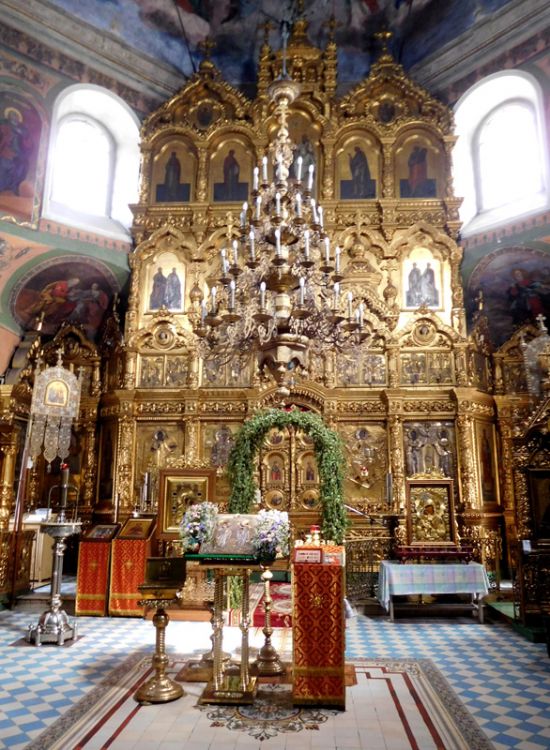 Церковь Александра и Антонины в Селище, Кострома (Кострома, город, Костромская область). интерьер и убранство, Иконостас церкви