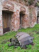 Церковь Собора Пресвятой Богородицы - Коровье, село - Чухломский район - Костромская область
