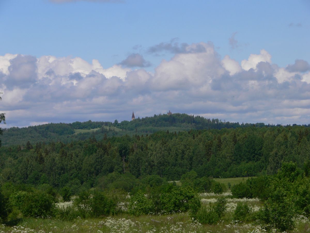 Костромская область, Солигаличский район, Высоко, урочище. Храмовый комплекс погоста Высоко, фотография. общий вид в ландшафте