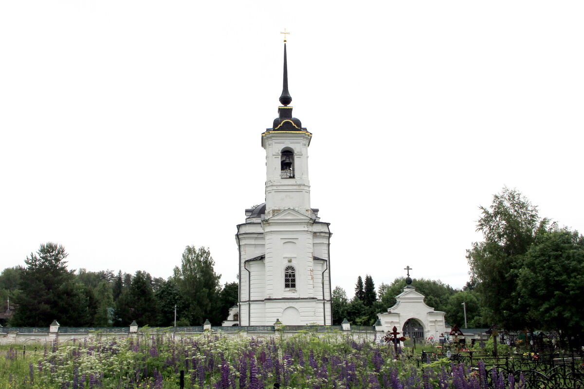 Церковь Николая Чудотворца, Николо-Бережки (Островский район, Костромская область). фасады, Вид с запада.