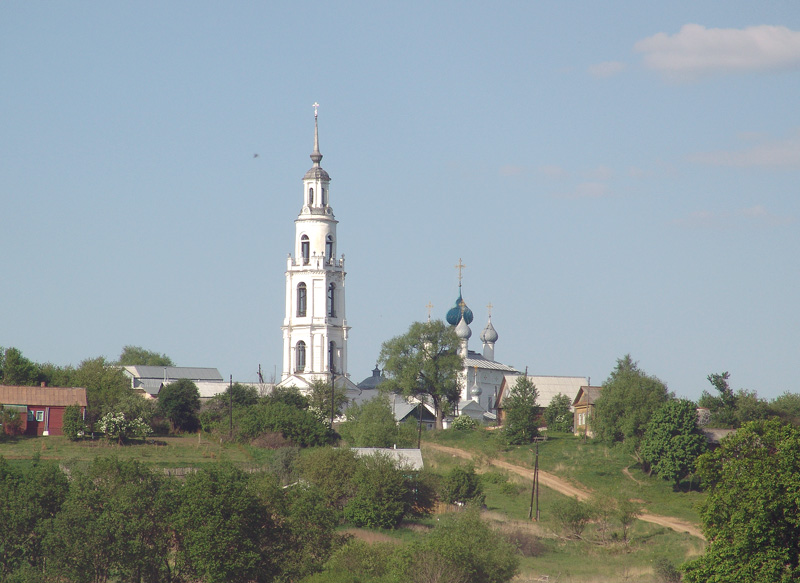 Успенская Тетеринская пустынь, Тетеринское (Нерехтский район, Костромская область). общий вид в ландшафте, Панорама монастыря
