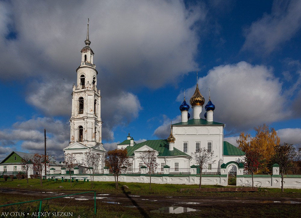 Успенская Тетеринская пустынь, Тетеринское (Нерехтский район, Костромская область). общий вид в ландшафте