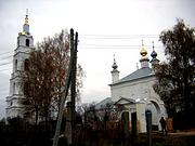 Церковь Введения во храм Пресвятой Богородицы - Филисово - Родниковский район - Ивановская область