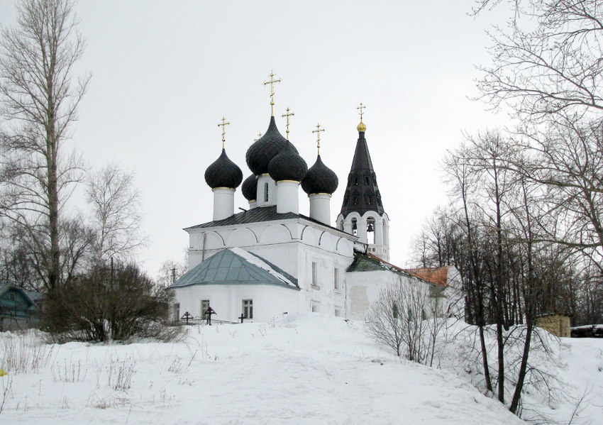 Норское. Церковь Троицы Живоначальной. общий вид в ландшафте