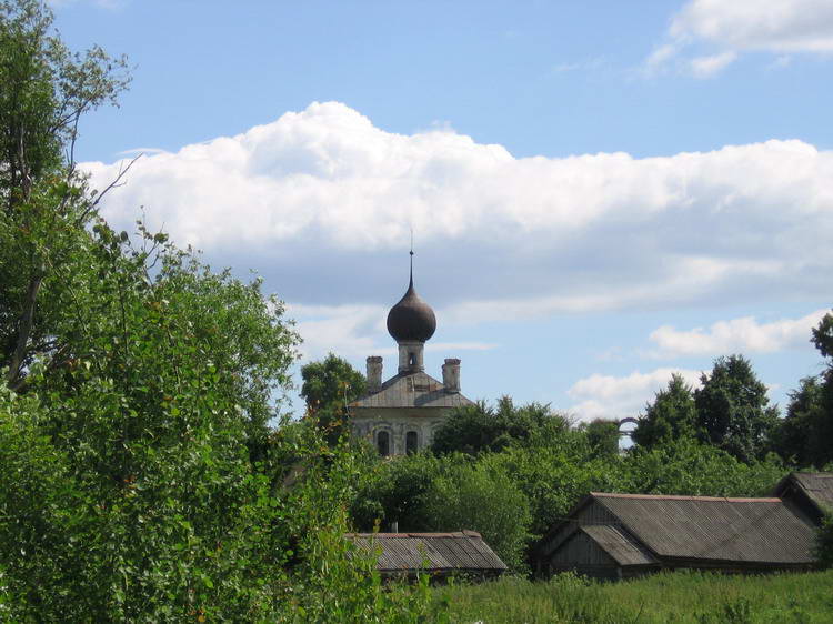 Вексицы. Церковь Георгия Победоносца. общий вид в ландшафте