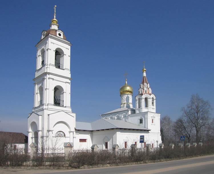Дмитровское. Церковь Димитрия Солунского. общий вид в ландшафте