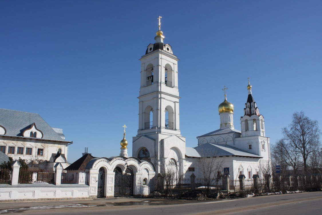 Дмитровское. Церковь Димитрия Солунского. общий вид в ландшафте