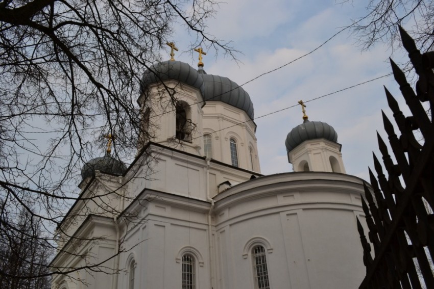 Собор Вознесения Господня, Ржев (Ржевский район и г. Ржев, Тверская область). архитектурные детали