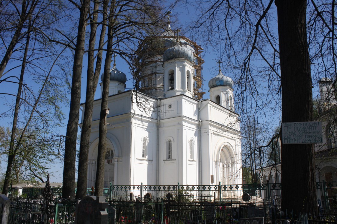 Собор Вознесения Господня, Ржев (Ржевский район и г. Ржев, Тверская область). фасады