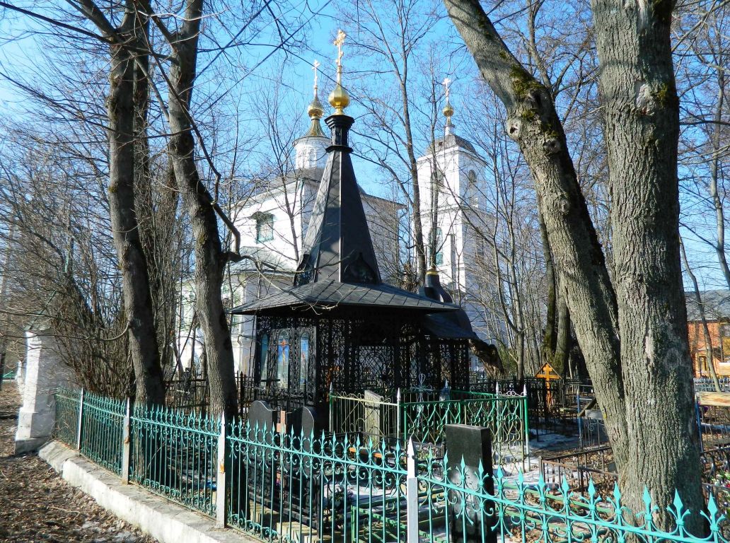 Храм владимирской иконы божией матери в куркине