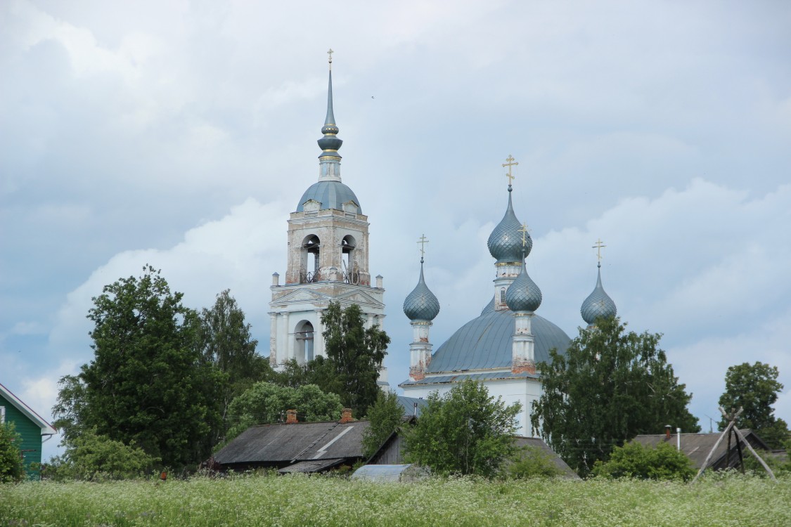 Давыдово. Церковь Владимирской иконы Божией Матери. общий вид в ландшафте