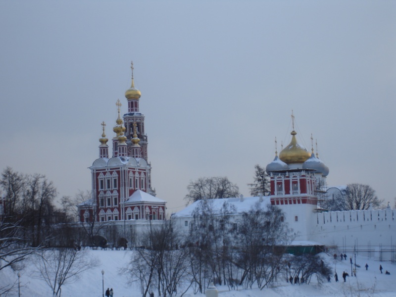 Хамовники. Новодевичий монастырь. общий вид в ландшафте