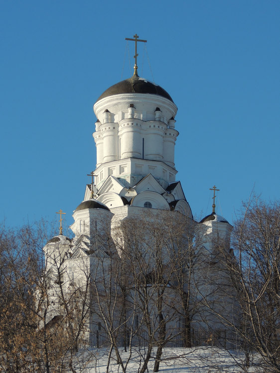 Церковь Усекновения главы Иоанна Предтечи в Дьякове, Нагатинский затон (Южный административный округ (ЮАО), г. Москва). общий вид в ландшафте