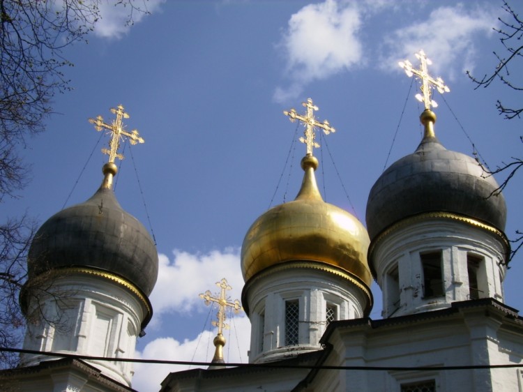 Ясенево. Церковь Казанской иконы Божией Матери в Узком. архитектурные детали
