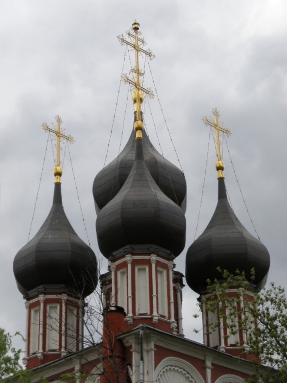 Донской. Церковь Ризоположения (Положения ризы Господней в Успенском соборе в Москве) на Донской. архитектурные детали