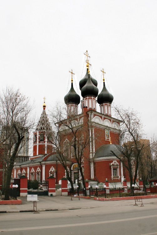 Донской. Церковь Ризоположения (Положения ризы Господней в Успенском соборе в Москве) на Донской. общий вид в ландшафте