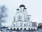 Церковь Рождества Христова, , Мытищи, Мытищинский городской округ и гг. Долгопрудный, Лобня, Московская область