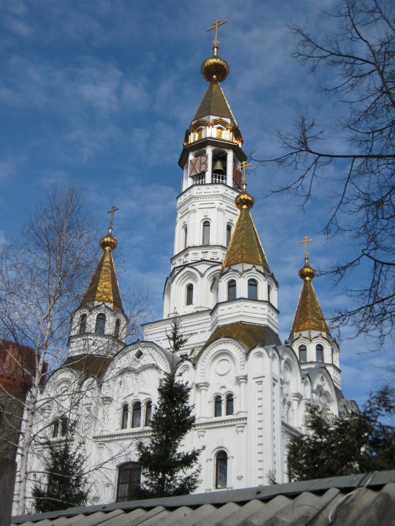 Церковь Боголюбской иконы Божией Матери, Пушкино (Пушкинский район и гг. Ивантеевка, Королёв, Московская область). фасады