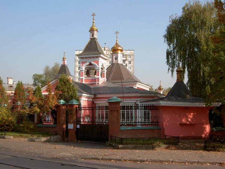 Богородское. Церковь Спаса Преображения в Богородском. общий вид в ландшафте