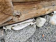 Кемь. Успения Пресвятой Богородицы, собор