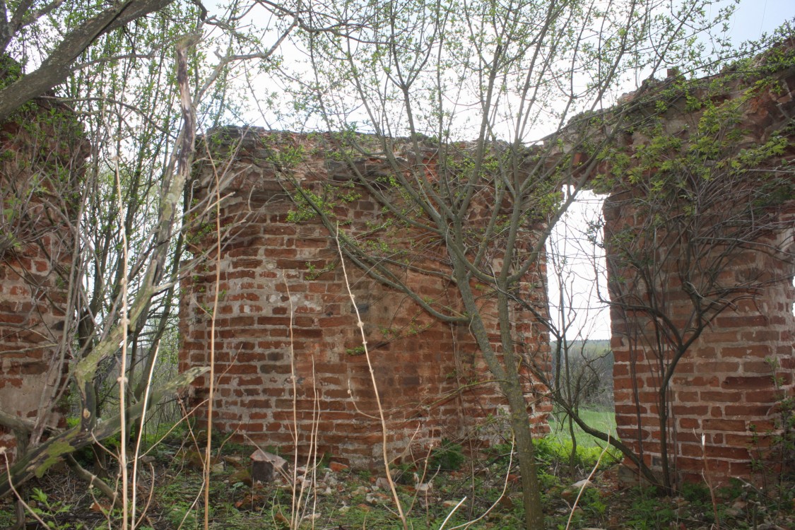 Церковь Иоанна Дамаскина, Многополье (Белёвский район, Тульская область). интерьер и убранство
