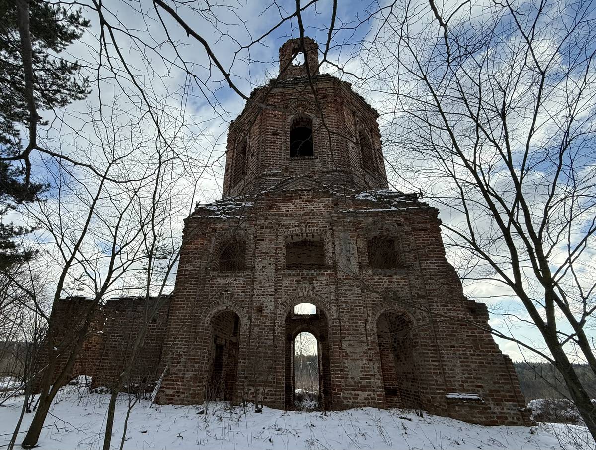 Церковь Иоанна Дамаскина, Многополье (Белёвский район, Тульская область). фасады, Вид с севера