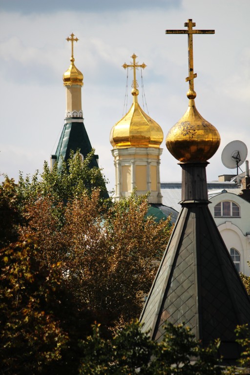 Церковь Державной иконы Божией Матери на Пречистенской набережной, Хамовники (Центральный административный округ (ЦАО), г. Москва). архитектурные детали, На переднем плане Храм-часовня Державной иконы Божией Матери. Далее видны купола Храма Илии Пророка (Илии Обыденного) в Обыденском переулке.