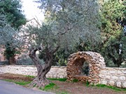 Горненский женский монастырь - Иерусалим (Эйн-Карем) - Израиль - Прочие страны