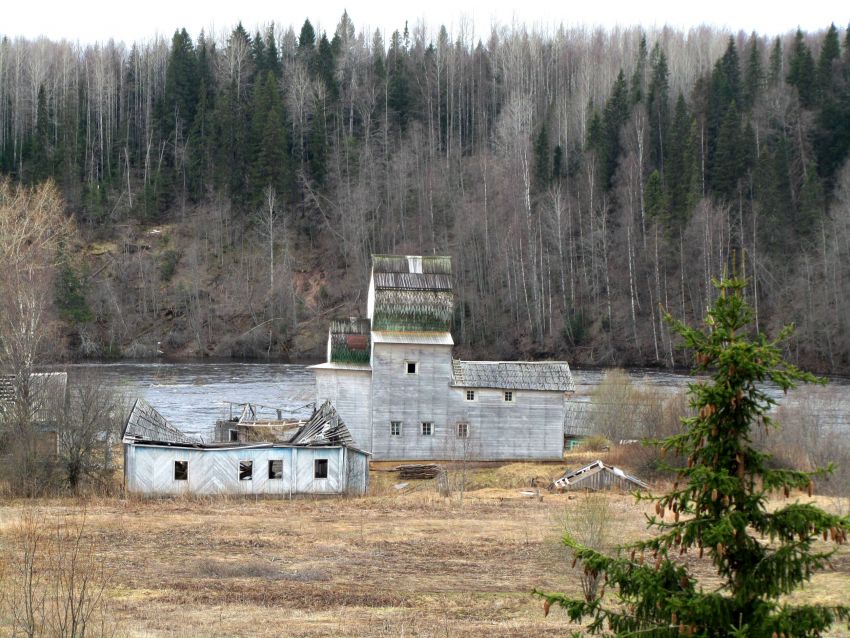 Пустынька. Церковь Благовещения Пресвятой Богородицы. общий вид в ландшафте, вид с севера