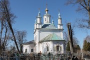 Церковь Преображения Господня - Баскаково - Гагаринский район - Смоленская область
