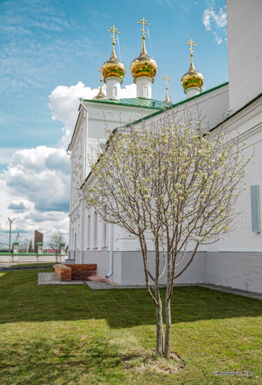 Церковь Благовещения Пресвятой Богородицы, Великово (Ковровский район и г. Ковров, Владимирская область). архитектурные детали, На освящении Храма