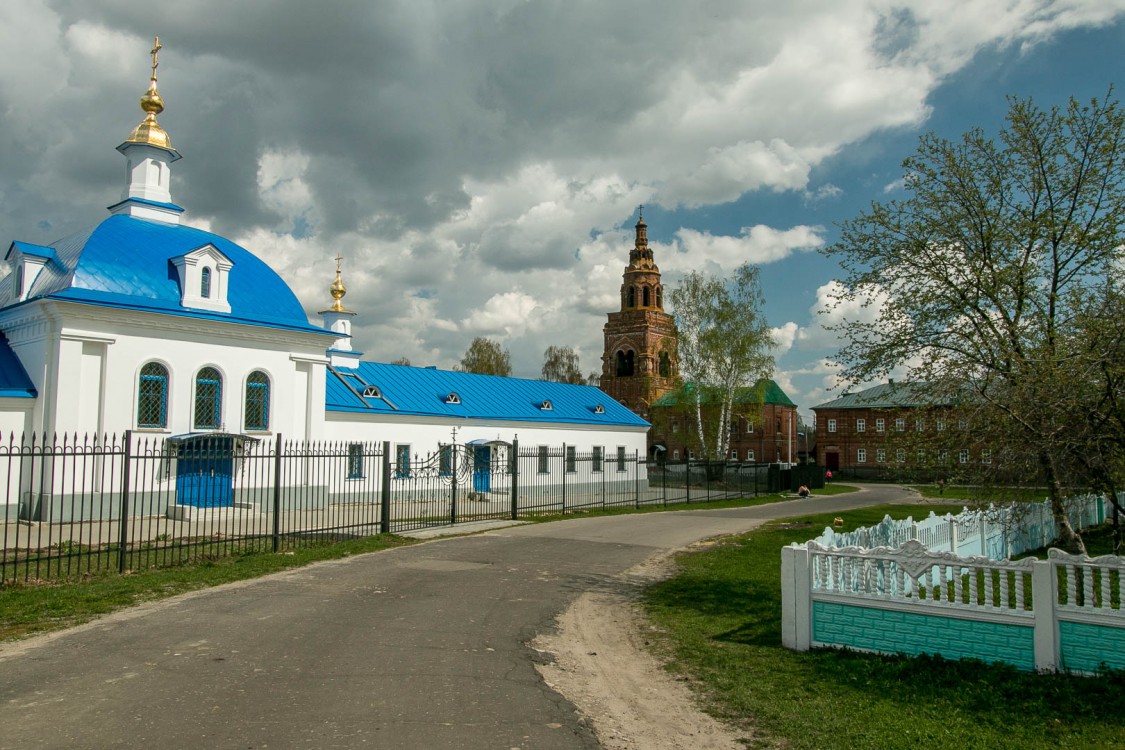 Понетаевка. Серафимо-Понетаевский монастырь. общий вид в ландшафте