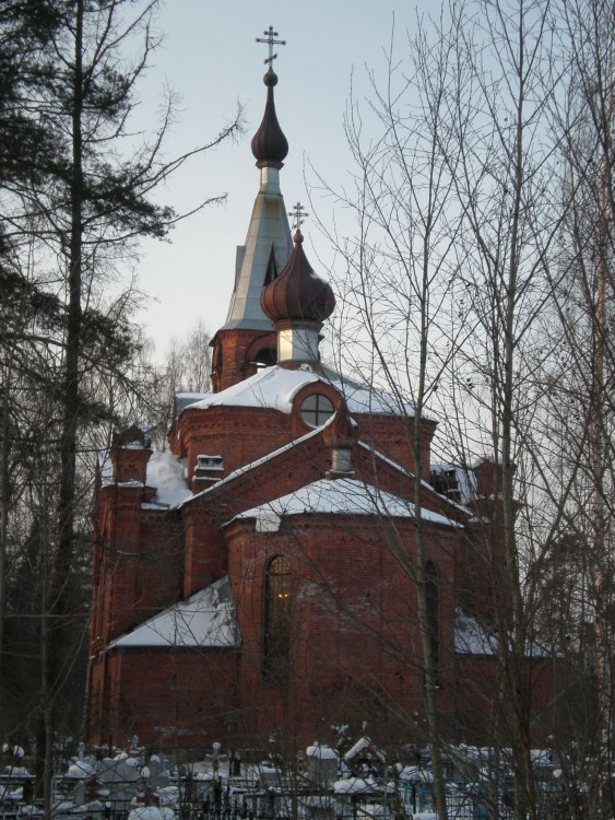 Церковь Николая Чудотворца, Ушаки (Тосненский район, Ленинградская область). общий вид в ландшафте