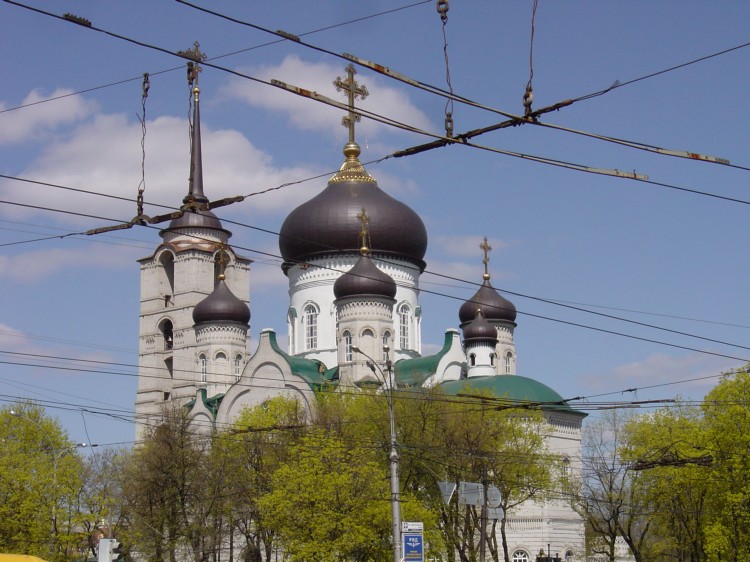 Кафедральный собор Благовещения Пресвятой Богородицы, Воронеж (Воронеж, город, Воронежская область). архитектурные детали