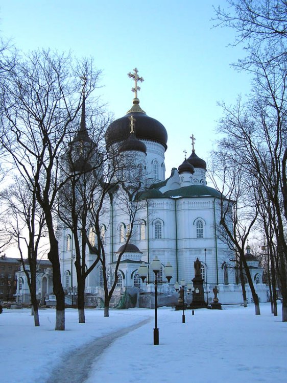 Кафедральный собор Благовещения Пресвятой Богородицы, Воронеж (Воронеж, город, Воронежская область). фасады