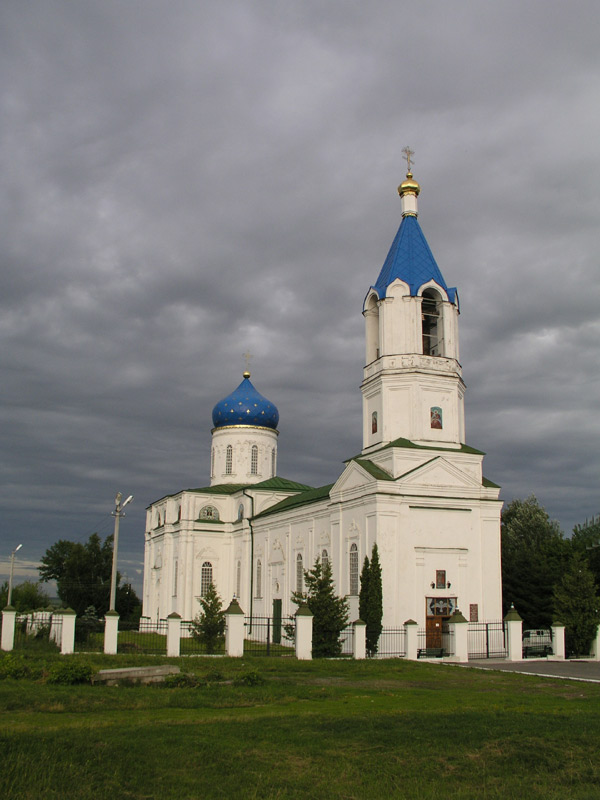 Долгое. Церковь Иоакима и Анны. общий вид в ландшафте