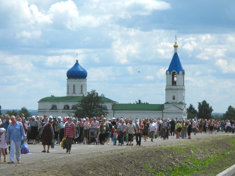 Церковь Иоакима и Анны, Долгое (Золотухинский район, Курская область). общий вид в ландшафте, Фото:Артем Денисов
