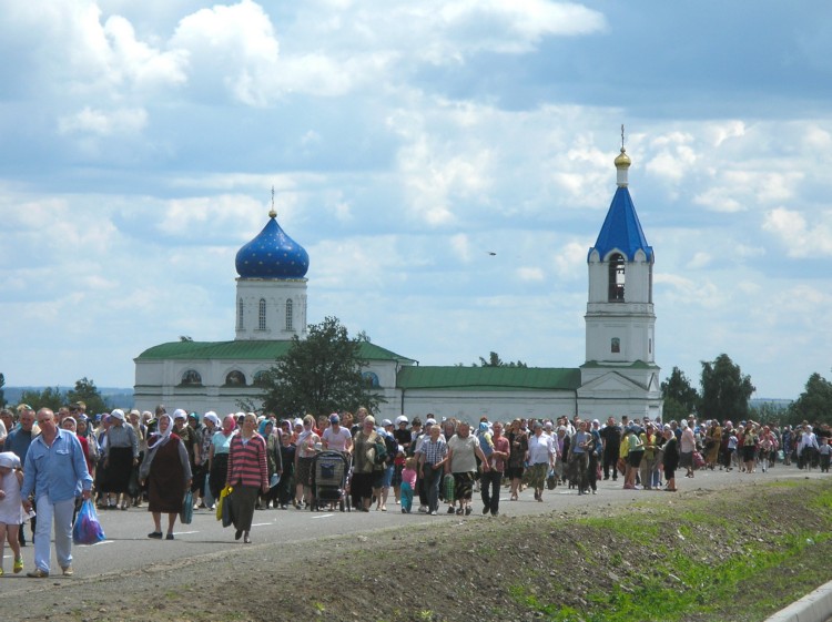 Долгое. Церковь Иоакима и Анны. общий вид в ландшафте, Фото:Артем Денисов