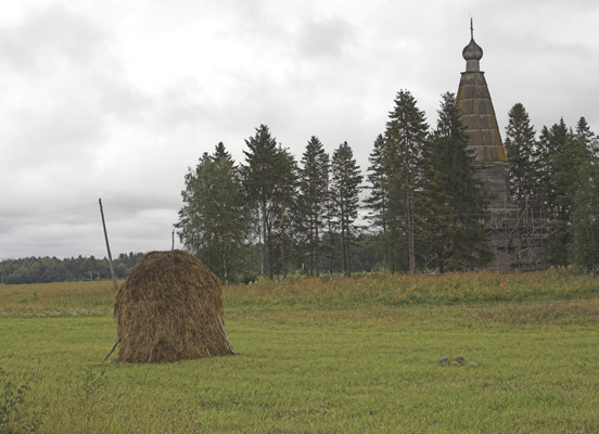 Церковь Рождества Христова, Большая Шалга, урочище (Каргопольский район, Архангельская область). общий вид в ландшафте