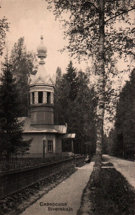 Церковь Петра и Павла, Сиверский (Гатчинский район, Ленинградская область). архивная фотография, Колокольня храма у дороги. Тиражная почтовая открытка 1910-х годов