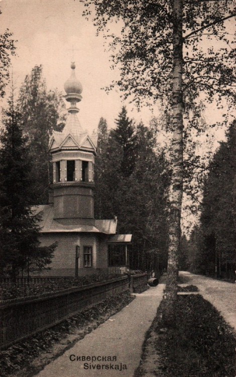 Сиверский. Церковь Петра и Павла. архивная фотография, Колокольня храма у дороги. Тиражная почтовая открытка 1910-х годов