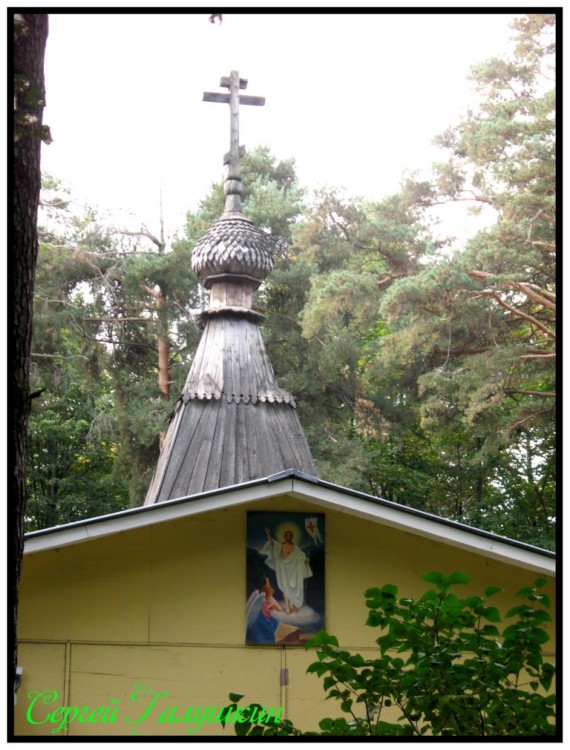 Церковь Владимира, митрополита Киевского в Болшеве (старая), Королёв (Пушкинский район и гг. Ивантеевка, Королёв, Московская область). архитектурные детали