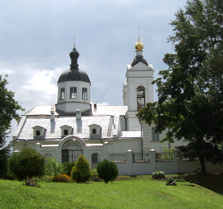 Кафедральный собор Покрова Пресвятой Богородицы, Витебск (Витебск, город, Беларусь, Витебская область). фасады, Общий вид (север).