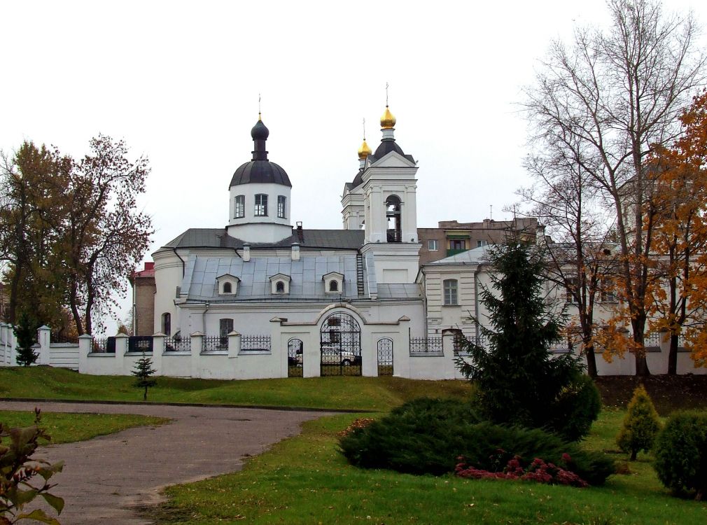 Витебск. Кафедральный собор Покрова Пресвятой Богородицы. общий вид в ландшафте