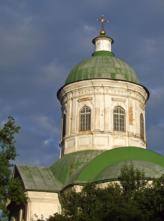Нежин. Церковь Иоанна Богослова. архитектурные детали, Вид на купол церкви